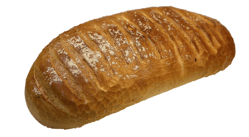 White bloomer
